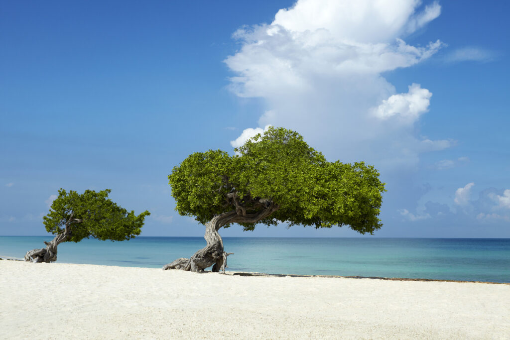 aruba-blog-2018-01_0