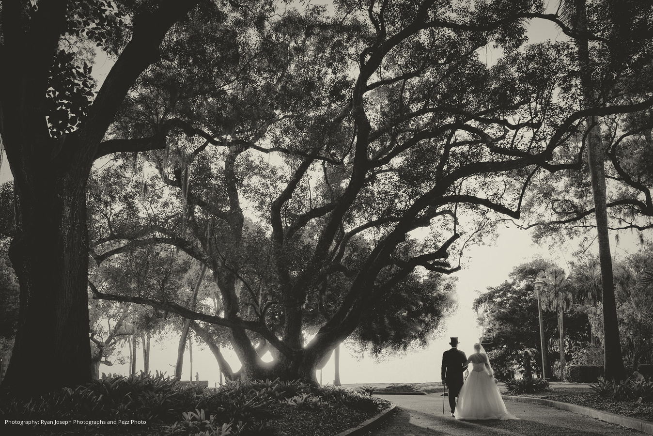 pezz-photo-wedding-2015-10