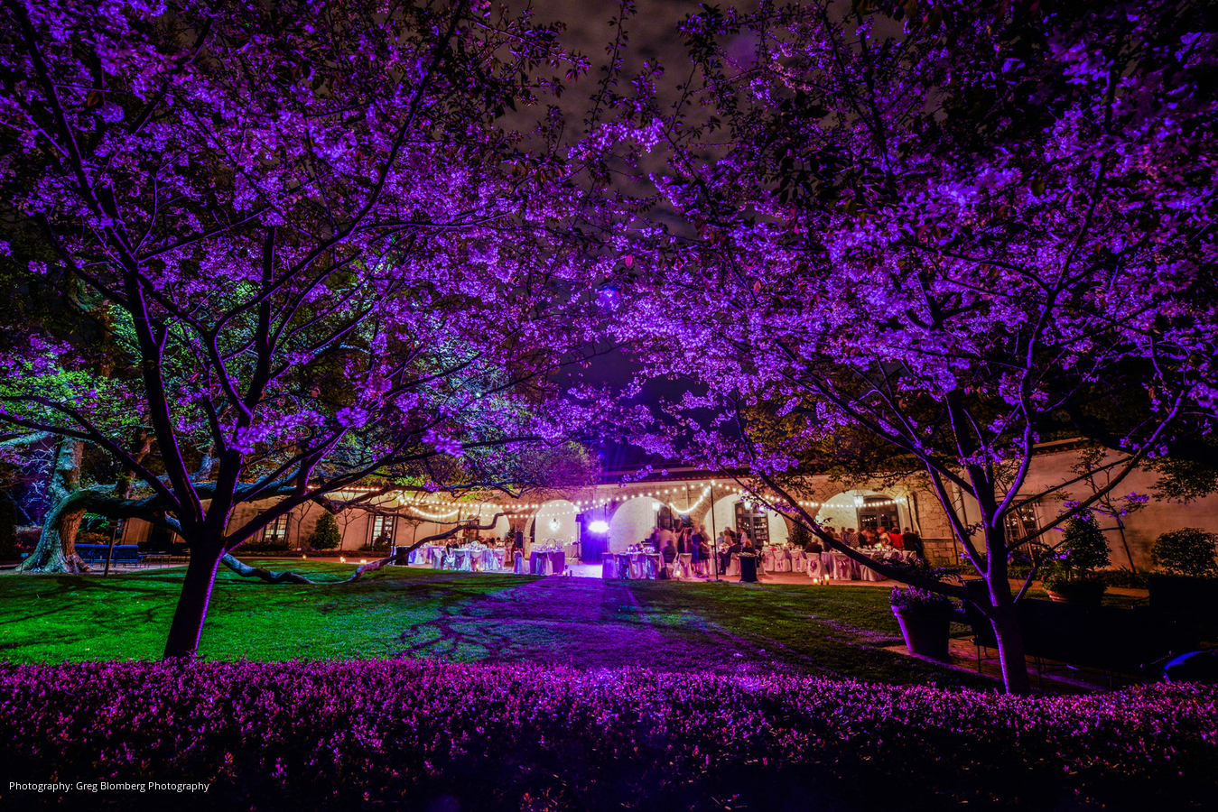 bloomberg-weddings-dallas-arboretum-wedding-2016-13