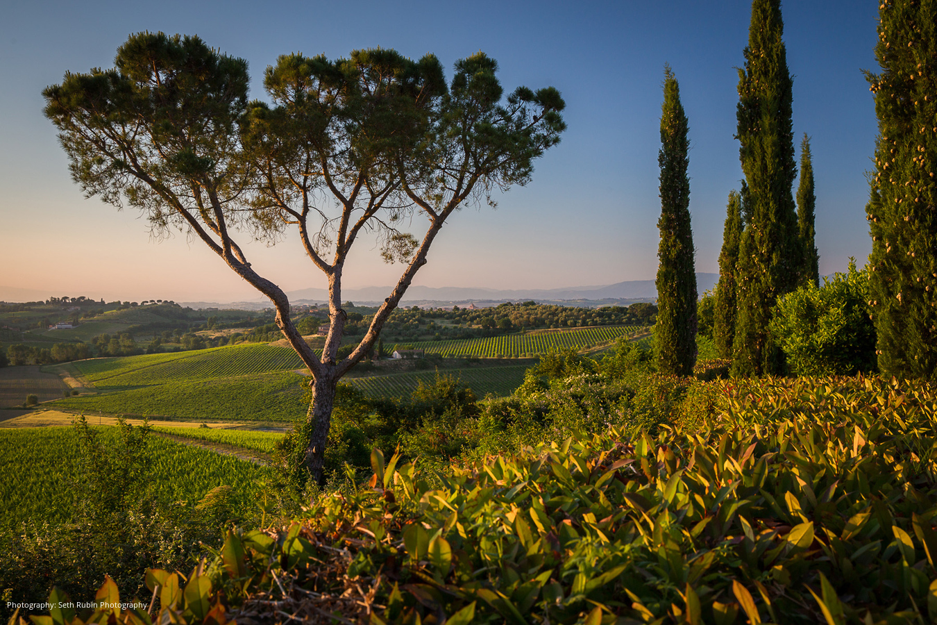seth-rubin-photography-wedding-2016-06