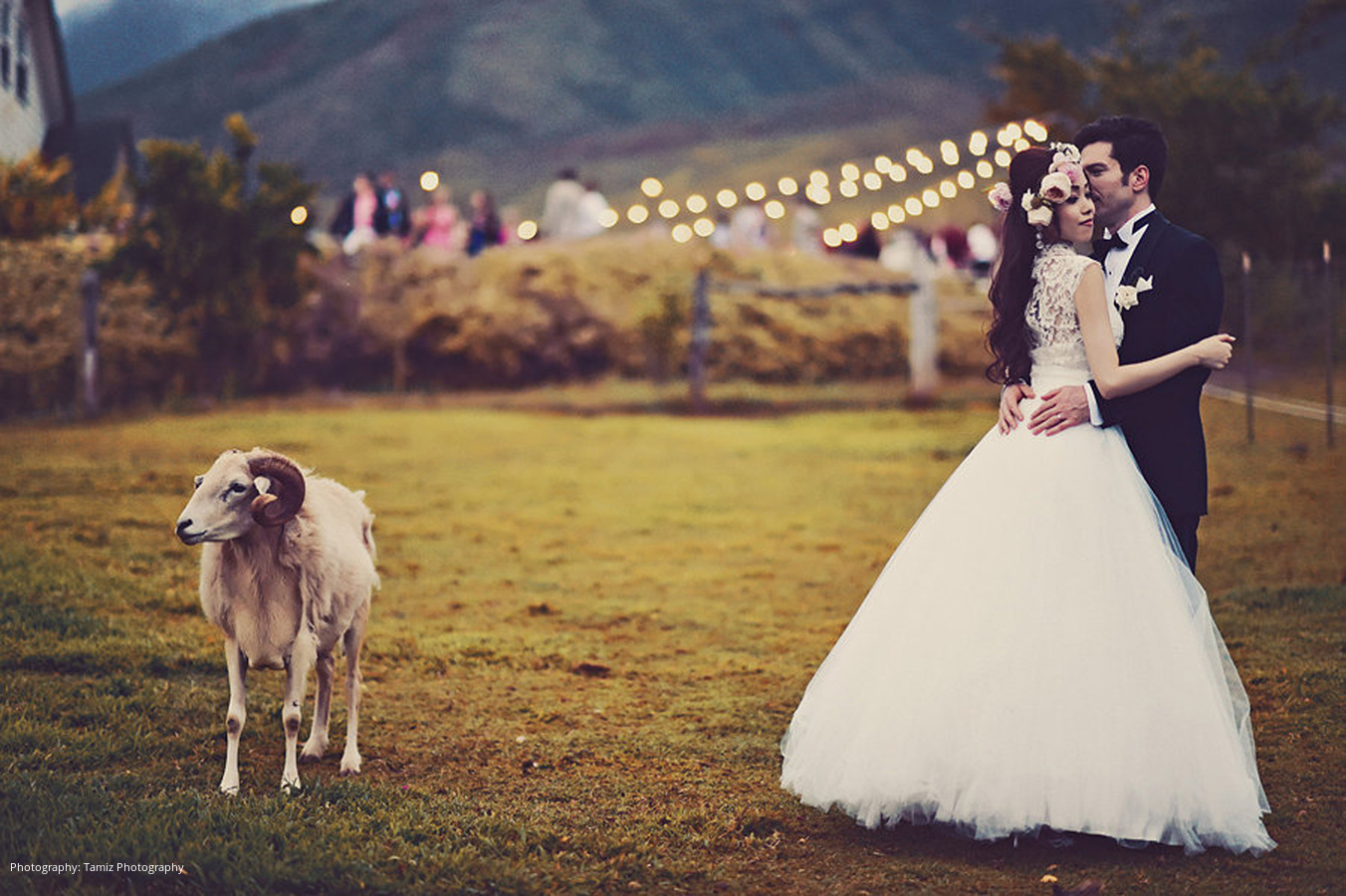 tamiz-photo-wed-2015-13