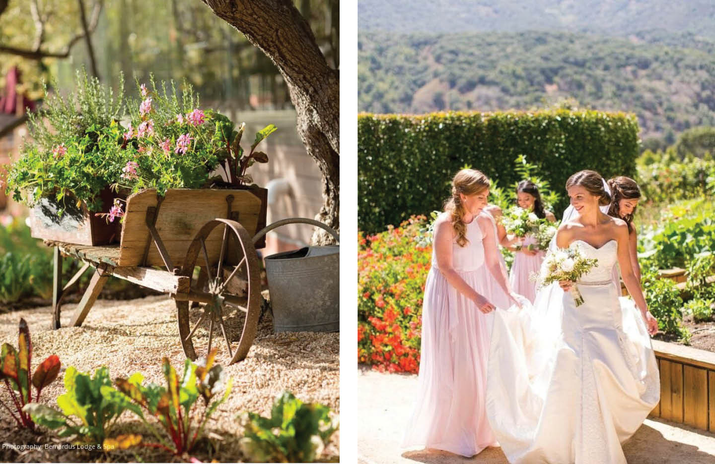Bernardus Lodge BLOG Feature6