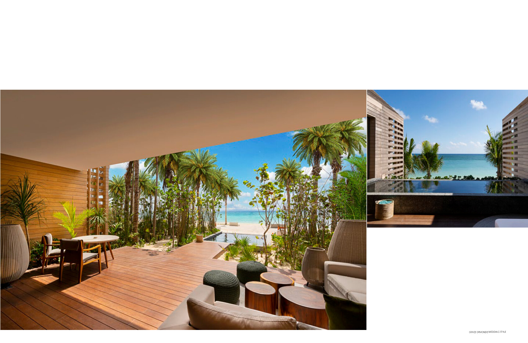 Banyan_Tree_June_2025 7 png