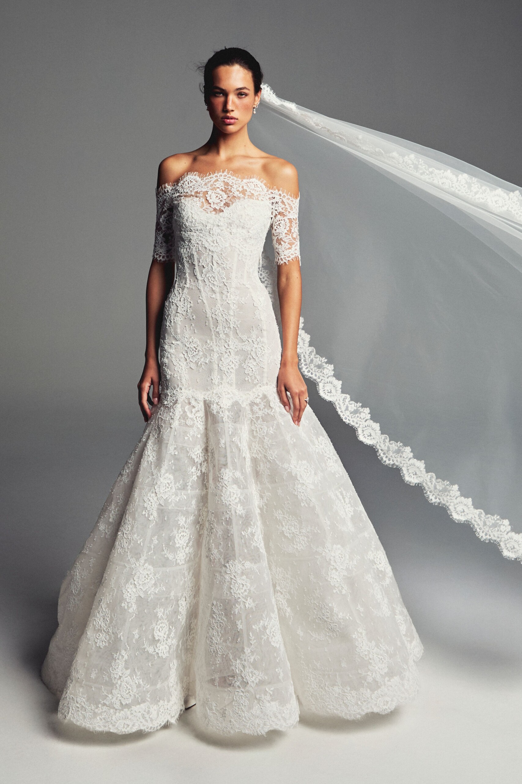 Lace Drop Waist Wedding Gown with Veil